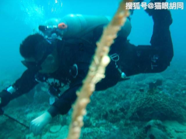 白色情人节：校园迷宫